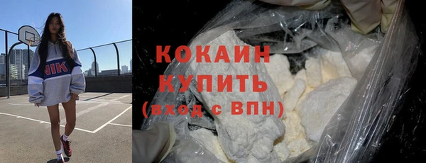 прущие грибы Баксан