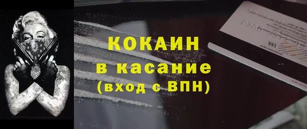 прущие грибы Баксан