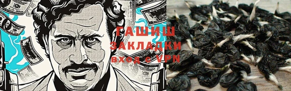 индика Балабаново