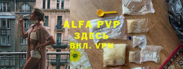 прущие грибы Баксан