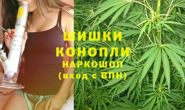 прущие грибы Баксан