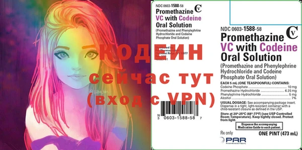 индика Балабаново